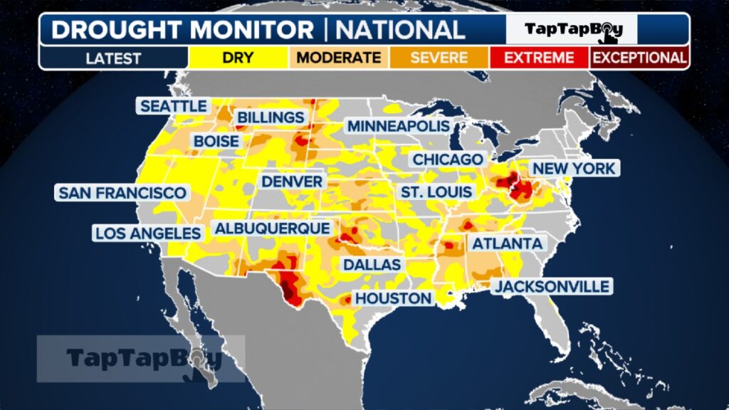 Tropical Depression Francine Brings Flooding and Tornado Threats Across the South